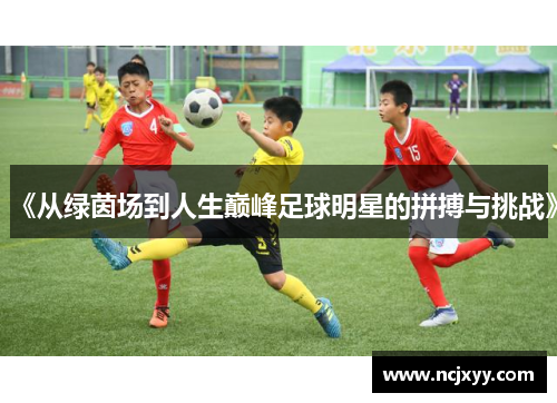 《从绿茵场到人生巅峰足球明星的拼搏与挑战》