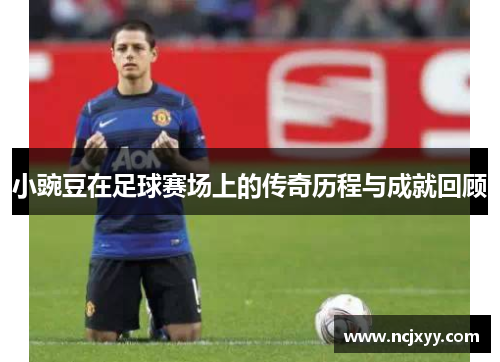 小豌豆在足球赛场上的传奇历程与成就回顾
