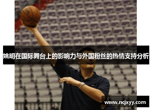 姚明在国际舞台上的影响力与外国粉丝的热情支持分析