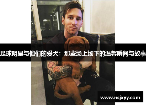 足球明星与他们的爱犬：那些场上场下的温馨瞬间与故事